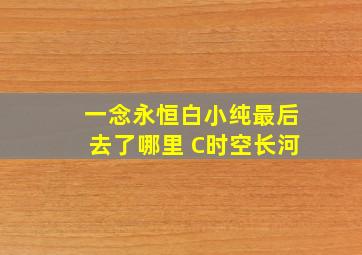 一念永恒白小纯最后去了哪里 C时空长河